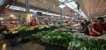 长春菜市场爆料视频最新,探寻市井烟火气中的生活百态